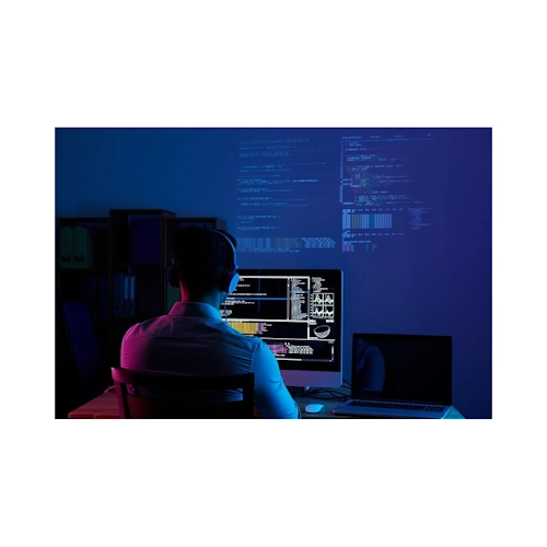 Fernwartung bei Softwareproblemen